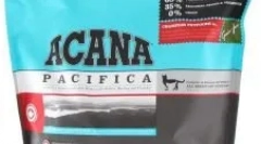 A felnőtt macskák ételeket adhatnak kiscicáknak